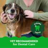 imageGreenies Regular Natural Dental Care Dog Treats Blueberry Flavor 12 oz Pouch 12 TreatsVariety Pack