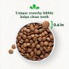 imageGreenies Smart Essentials Adult High Protein Dry Dog Food Real Chicken ampamp Rice Recipe 6 lb BagChicken  Rice