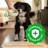 imageGreenies Smart Essentials Adult High Protein Dry Dog Food Real Chicken ampamp Rice Recipe 6 lb BagChicken  Rice