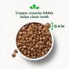 imageGreenies Smart Essentials Puppy High Protein Dry Dog Food Real Chicken ampamp Brown Rice Recipe 55 lb BagChicken  Rice