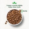 imageGreenies Smart Essentials Puppy High Protein Dry Dog Food Real Chicken ampamp Brown Rice Recipe 55 lb BagChicken  Rice