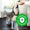 imageGreenies Smart Essentials Sensitive Digestion ampamp Skin Adult Dry Dog Food Real Lamb ampamp Brown Rice Recipe 30 lb BagLamb  Rice