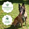 imageGreenies Smart Essentials Sensitive Digestion ampamp Skin Adult Dry Dog Food Real Lamb ampamp Brown Rice Recipe 30 lb BagLamb  Rice