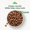 imageGreenies Smart Essentials Sensitive Digestion ampamp Skin Adult Dry Dog Food Real Lamb ampamp Brown Rice Recipe 30 lb BagLamb  Rice