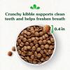 imageGreenies Smart Essentials Small Breed Adult High Protein Dry Dog Food Real Chicken ampamp Rice Recipe 135 lb BagChicken  Rice