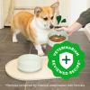 imageGreenies Smart Essentials Small Breed Adult High Protein Dry Dog Food Real Chicken ampamp Rice Recipe 135 lb BagChicken  Rice