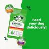 imageGreenies Smart Topper High Protein Wet Mixin for Dogs Beef Peas ampamp Carrots Recipe in Vitabroth Broth  Bone Broth  Vitamins E ampamp B1 10 CountVariety Pack Duck  Chicken