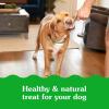 imageGreenies Smartbites Immune Support Crunchy ampamp Soft Dog Treats Chicken Flavor 28 oz PouchChicken