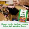 imageGreenies Large Dental Dog Treats Sweet Potato Flavor 36 oz Pack 24 TreatsSweet Potato