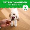 imageGreenies Gingerbread Flavor Teenie Size VeterinarianRecommended for Dental Care Dog Treat Chews Great Holiday Dog Stocking Stuffers Limited Edition 6 oz Pouch 22 Treats