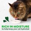 imageGreenies Feline Smart Purees Healthy Indoor Lickable Cat Treats with Real Chicken 049 oz Tubes 4 Count Pack of 11