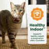 imageGreenies Feline Smart Purees Healthy Indoor Lickable Cat Treats with Real Chicken 049 oz Tubes 4 Count Pack of 11