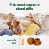 image:imageGreenies Pill Pockets for Dogs Large Size Dog Treat Pouch for Capsule Medication Variety Pack 79 oz PouchChicken