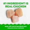 image:imageGreenies Pill Pockets for Dogs Large Size Dog Treat Pouch for Capsule Medication Variety Pack 79 oz PouchChicken